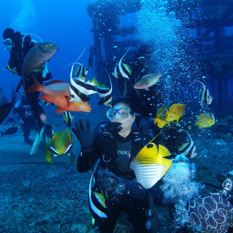 Green Island Ocean Rhythem Dive B&B 綠島海韻民宿 Экстерьер фото